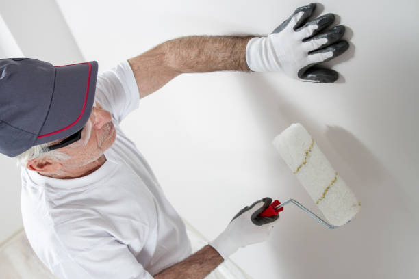 Best Attic Mold Removal  in Santa Rosa, NM