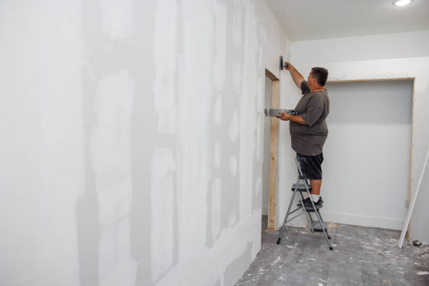 Best Asbestos and Lead Testing During Mold Inspection  in Santa Rosa, NM