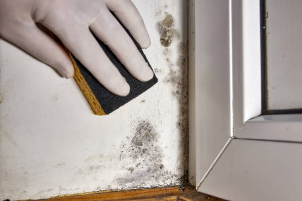 Best Airborne Mold Testing  in Santa Rosa, NM