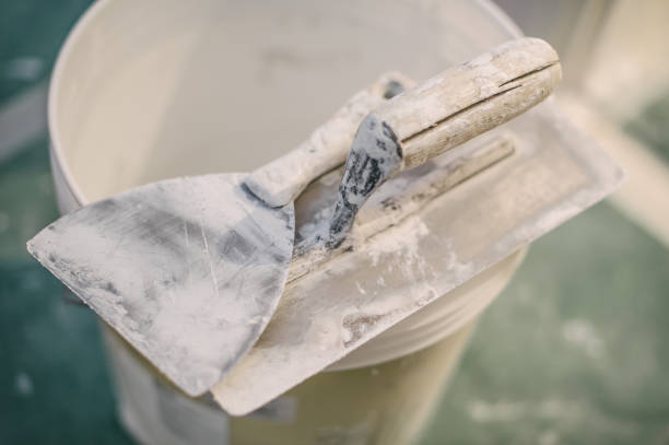 Best Basement Mold Removal  in Santa Rosa, NM